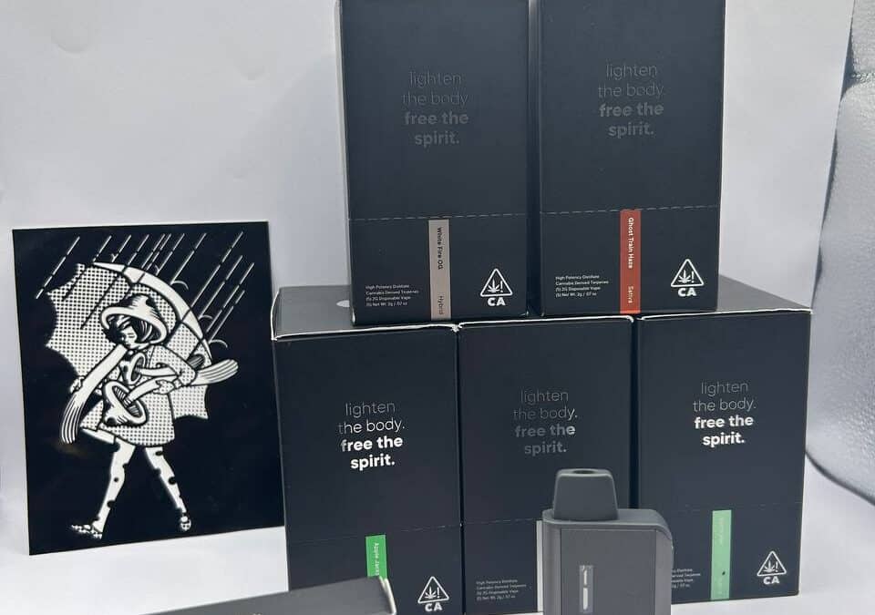 What Are Disposable Vape Pens: A Comprehensive Guide